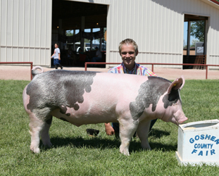 10-4 Simpson Winners