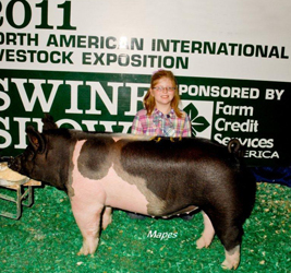 11-1 Simpson Winners