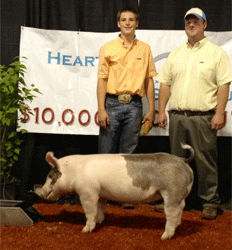 12-1 Simpson Winners