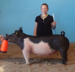 12-3 Simpson Winners