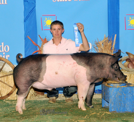 12-4 Simpson Winners