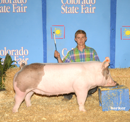 13-3 Simpson Winners