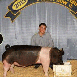 13-4 Simpson Winners