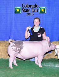 15-4 Simpson Winners