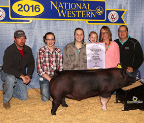 16-1 Simpson Winners