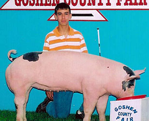 5-11 Simpson Winners