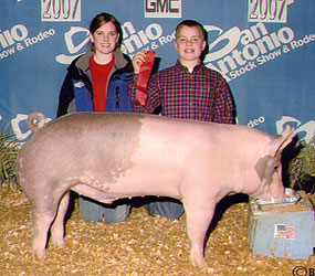 7-11 Simpson Winners