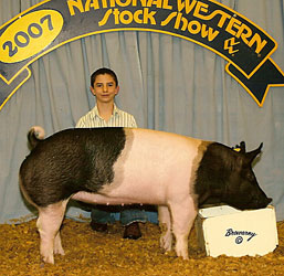 7-13 Simpson Winners